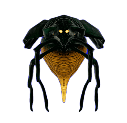 Beetle