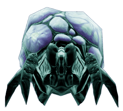 Spider
