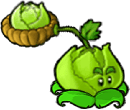 Cabbagepult