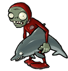 Dolphinrider