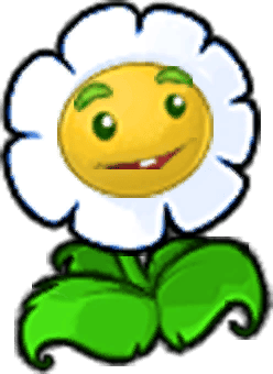 Marigold