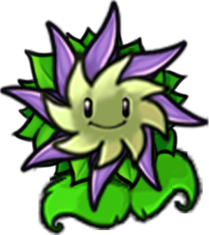 Shulkflower