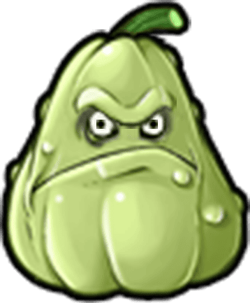 Squash