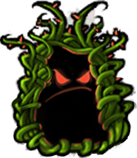 Squashkelp
