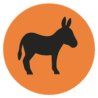 Every Horse Is A Donkey